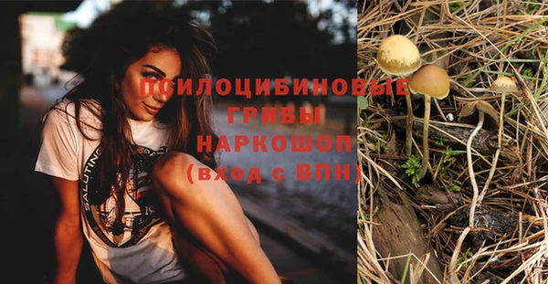 соль ск Белоозёрский
