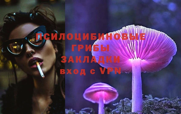 марки nbome Белокуриха