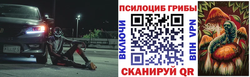 Галлюциногенные грибы Psilocybe Семикаракорск